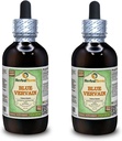 Blå Verbena (Verbena hastata) Glycerit, Organic Tørret Averve- Ground Parts Alkohol- Free Liquid Extract (Brand Name: HerbalTerra, Stolt Made in USA) 2x4 fl.oz (2x120 ml)