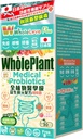 NOTO WholeLovePlus Probiotika for kvinder & mænd - Dagligt probiotisk supplement, Suit for Winter at forbedre immunitet, Pure Botanisk Medical Grade Prebiotika & Probiotika Formel 40 Milliarder, 30 breve