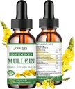 Mullein Drops til Lungs, Kraftfuld Lung Cleanse Detox til Ryger, Organic Mullein og Chlorophyll Drops til Lungs, Mullein Leaf Extract til Lung & Bronchia, Respiratoriske Sundhed, Immunboost 2 FL / OZ
