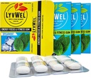 LyvWel Energy Gum | 80mg Caffeine + 50mg Taurine per gem | All Natural | Sugar-Free Pre-Workout Boost: Your Essential Energy Supplement to Stay Awake (Spearmint, 3 Pack)