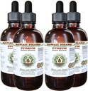 African Cherry Pygeum Alkohol- Free Liquid Extract, African Cherry Pygeum (Prunus Africana) Bark Glycerite Natural Herbal Supplement, Hawaii Pharm, USA 4x4 oz