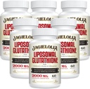 Liposomal Glutathion 2000 mg med L- Serine, L- Glycin & Sulforaphane - Active L- Glutathion Unique Formulering to Enhance Absorption - Master Antioxidant, Detoxifying & Municipal 124; 360 Softgels