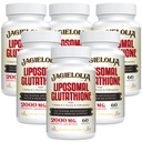 Liposomal Glutathion 2000 mg med L- Serine, L- Glycin & Sulforaphane - Active L- Glutathion Unique Formulering to Enhance Absorption - Master Antioxidant, Detoxifying & Municipal 124; 360 Softgels