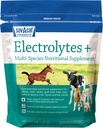 Sav- a- Caf Electrolytes Plus ™ Supplement