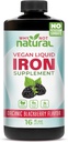 Why Not Natural Liquid Iron Supplement for Women, Men and Kids, Vegan Formulation for Anemia, Sugar Free, Vegan, Non-GMO, Organic BlackBerry Flavor 16 Fl Oz