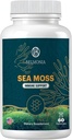 Sea Moss Gummies - immunstyrke & hudsundhed, Organic Irish Moss Gummy Bears, 60 Greve, Vegan, Superfood Chewable Supplement for Endurance & Sundhed