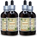 Cordyceps (Cordyceps Sinensis) Tinktur, Økologisk Tørret Mushroom Powder Liquid Extract (Brand Name: HerbalTerra, Stolt Lavet i USA) 4x4 fl.oz (4x120 ml)