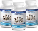Hund urininkontinens behandling - DOG URINAL TRACT SUPPORT - NATURLIG CRANBERRY OPLØSNING - BLADDER SUNDHED - VET ANBEFALET - hund tranebær urin - 3 Flaske (270 Traktater)
