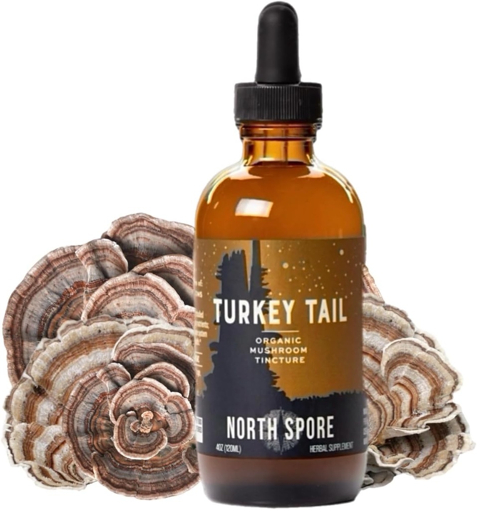 North Spore Organic Turkey Tail Tincture | Mushroom Supplement for Immune Wellness | Sustainably Grown & Confirmed for Potency | Trametes Versicolor Extract | Vegan, Non-GMO - 4oz
