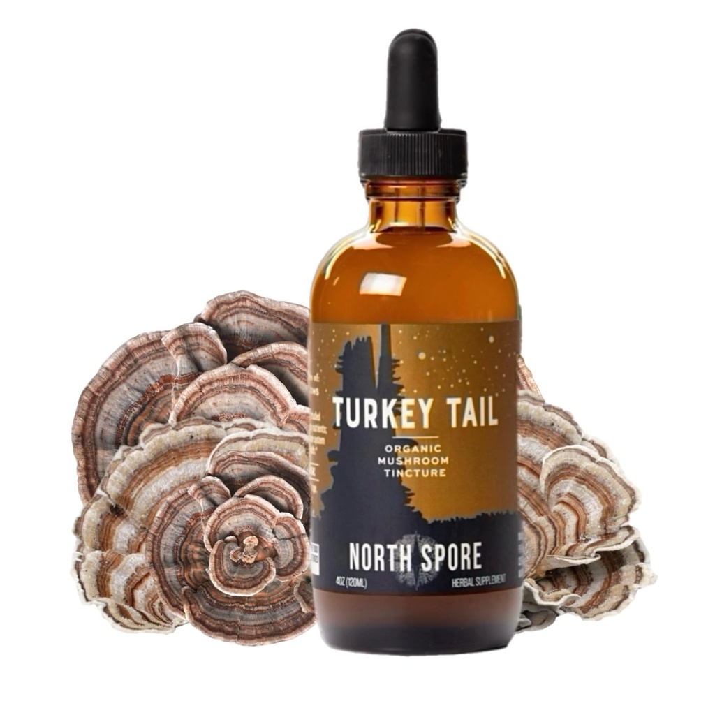 North Spore Organic Turkey Tail Tincture Yester124; Mushroom supplement til immunwellness Yester124; Bæredygtigt dyrket & Konfirmeret for Potency Mester124; Trametes Versicolor Extract Mester124; Vegan, Non- GMO - 4oz