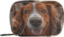 Ugentlig Pill Organizer Gruppe Hunde Golden Retriever Lille Pill Box Bag Portable Travel Pill sag 7 dage Vitamin supplement Holder med lynlås til familie Business Camping