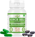 Kaunch MUCUNA PRURIENS Konch Beej, Kaunch Beej Extract Kapsler 124; Højeste potens, 100% Herbal Product