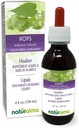 Naturalma Hums (Humulus lupulus) strobilus eller Cone (kvindelige blomster) Alkoholfri tinktur - 4 fl oz flydende ekstrakt i dråber - Urtetilskud - Vegan