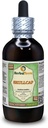 Skullcap (Scutellaria Lateriflora) Glycerit, Organic Tørret Herb Alkohol- Free Liquid Extract (Brand Name: HerbalTerra, Stolt Made in USA) 4 fl.oz (120 ml)