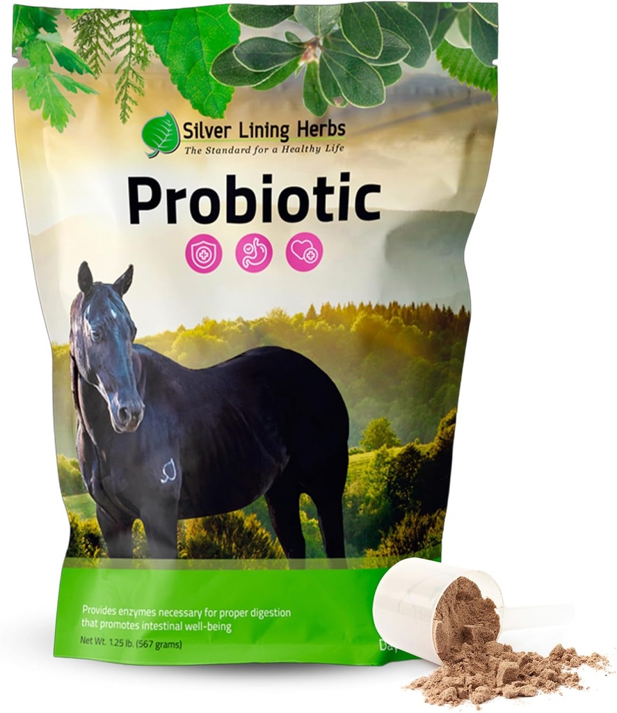 Sølv Lining urter Horse Probiotika fordøjelsestilskud - fordøjelsesmiddel Enzyme & Gut sundhed Probiotisk supplement til heste - Indeholder 13,2 Millioner CFU 'er Probiotiske Strops - 1,25 lb 60- Day Supply
