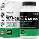 Renew Actives Sea Moss Triple- Action Antioxidant Blend with BioPerine - Organic Irish Sea Moss 500MG, Bladderwrack 500MG & Burdock Root 400MG per 2 kapsler - Made in Canada - 60 kapsler