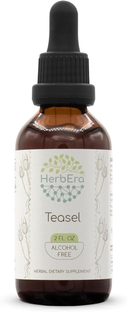 HerbEra Teasel B60 Alkohol- Free Herbal Extract Tinktur, Koncentrerede flydende dråber Natural Teasel (Dipsacus fullonum, Dipsacus sylvestris) 2 fl oz