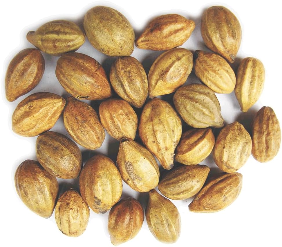 Naturals Terminalia Chebula Mest124; Kadukkai Mest124; Harad Mest124; Inknut Mest124; Haritaki Indian Origin Herbs (200g (7 oz))