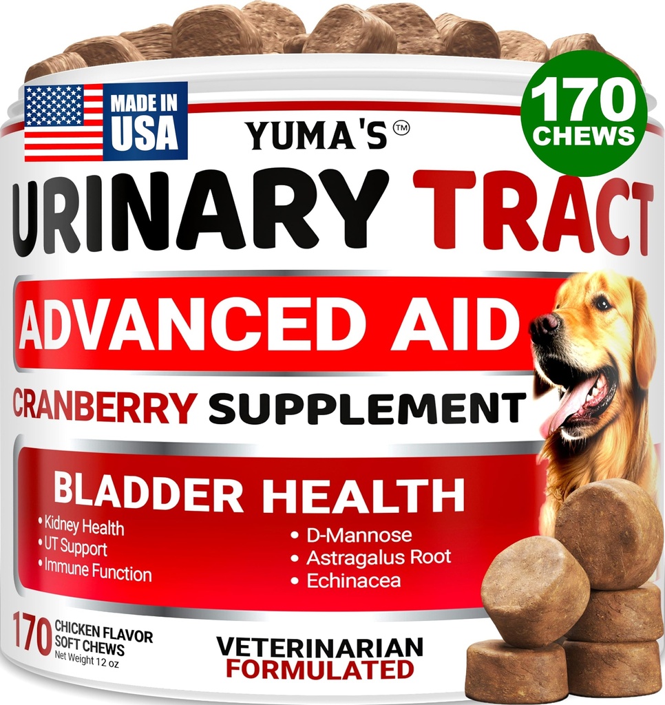 Hund UTI Treatment - 170 Treats - Tranebær supplement til hunde - Brækker kontrol - Urinvejsinfektion Behandling - UTI Medicin Multivitamin - Vitaminer og kosttilskud - Made in USA