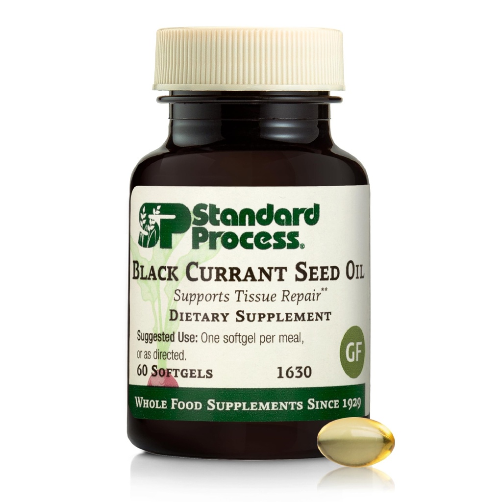 Standard Process Black Currant Seed Oil - Support Blood Flow & Health - Aids Sund Immunsystemet Funktion - Natural Tissue Care - Gluten- Free - 60 Softgels (60 Servere)