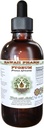 African Cherry Pygeum Alkohol- Free Liquid Extract, African Cherry Pygeum (Prunus Africana) Bark Glycerite Natural Herbal Supplement, Hawaii Pharm, USA 4 oz
