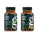 Gaia Herbs Vitex Berry (Chaste Tree) - Understøtter Hormonbalance & Fertilitet for kvinder - 60 Vegan Caps & Lever sundhed - Levertilskud med mælk tidsel, lakrids rod til lever og rense support -