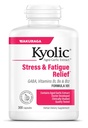 Kyolsk aged hvidløg Extract Formel 101, Stress og Træthed Relief, 300 kapsler.