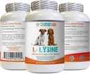 Immunsystemet Hundemad - Hund LYSINE Powder - Pure Powder Form - Immunsystemet Support - Vet Anbefalet - Lysin Dobbelt Styrke - 1 flaske (8oz 226.8 Bedste)