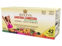 HYLEYS Tea Garcinia Cambogia Green Tea med assorterede flavors - 42 Tea Tasker (12 Pack - 504 Tea Tasker i alt)