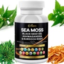 Sea Moss 3000mg Black Seed Oil 2000mg Ashwagandha 1000mg Bladerwrack 1000mg Gurkemeje 1000mg Burdock 1000mg Vitamin C & D3 Elderberry Manuka Mælkebøtte Gul Dock Chlorophyll ACV
