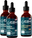 E2H: Reishi (2 Pack) & Lions Mane Extracts - Energy, Longevity, Cognitive Sharpness, Immunity - non-GMO, Vegan - 2 Fl Oz Hver (6 Fl Oz i alt) - Bundle