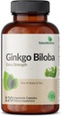 Futurebiotics Ginkgo Biloba Extra Strength Understøtter Brain Function & Memory Support, 120 Vegetariske Kapsler