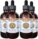 Saw Palmetto Liquid Extract, Organic Saw Palmetto (Serenoa Repens) Tinktur, Herbal Supplement, Hawaii Pharm, Lavet i USA, 4x4 fl.oz