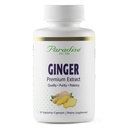 Paradise Herbs Premium Ginger Extract til fordøjelse, Super Potent, Ultra Pure, Vegan, Non- GMO, Gluten Free, 60 Vegetariske Kapsler