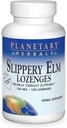 Planetariske Herbals Slippery Elm Strawberry Lozenges, Herbal Throat Support, 100 Lozenge