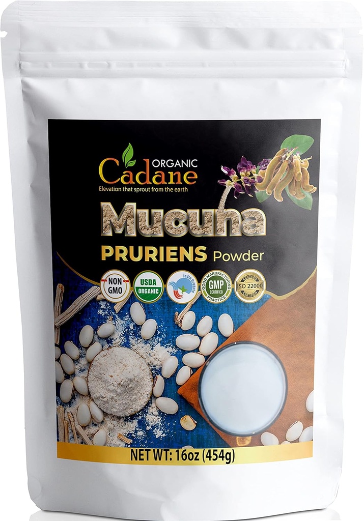 Organic Cadane Mucuna Pruriens Powder 1 Pound ttesmå 124; Promodes Brain Health, Understøtter immunsystem, energi 124; USDA Certified Vegan- Friendly Supplements ttesmå 124; Pure Natural Velvet Beans Extract fra Indien