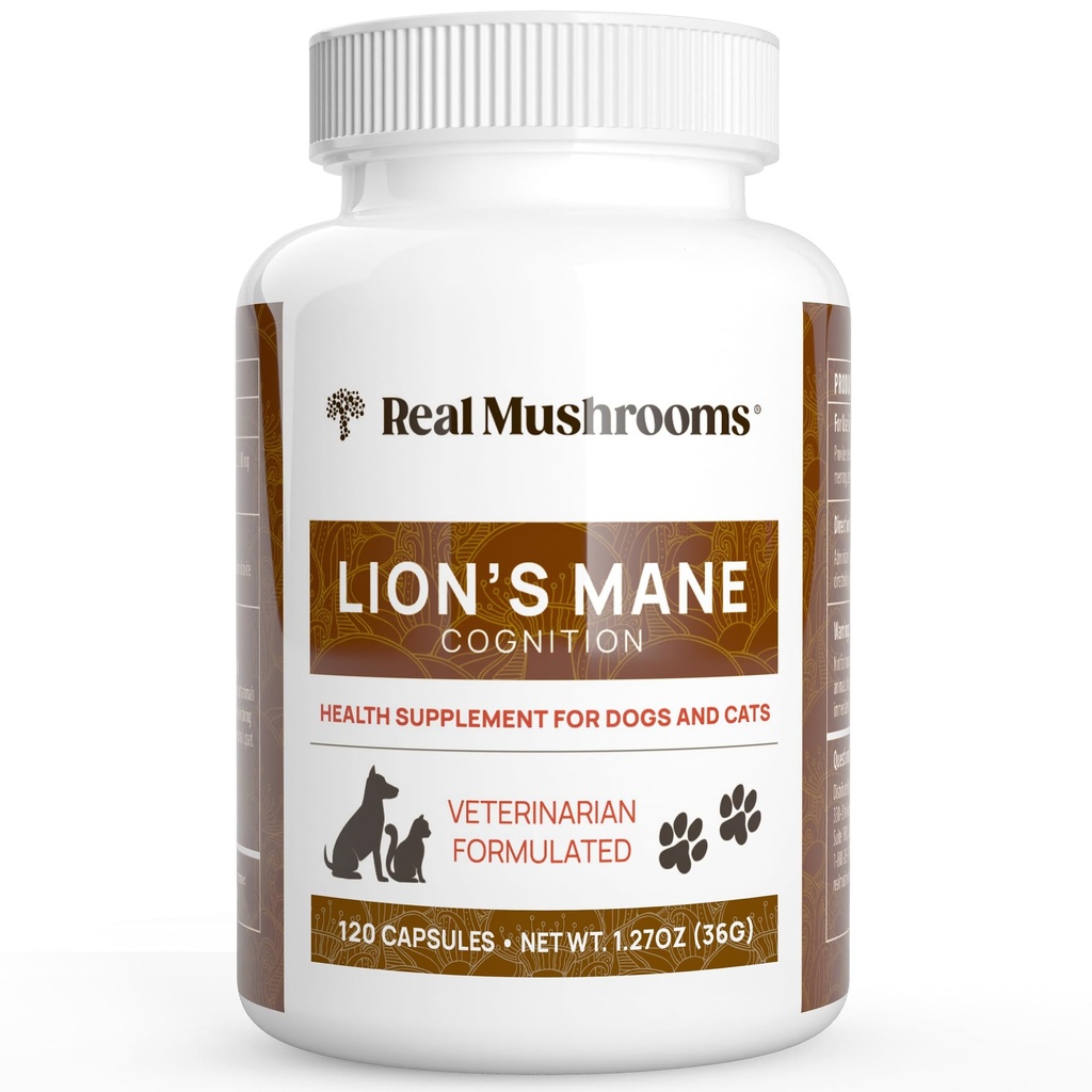 Rigtige svampe Lions Mane Pet Mushroom Supplement - Pet Wellbeing Capsules - for Kat & Hundetillæg & Vitaminer - Support Mindfull Routines - Organic, Vegan, Non- GMO, 120 Count