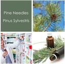 HPDC + Health & Nutrition Pine Needles Natural Liquid Extract Tincture High in Vitamin C, bioflavonoider, antioxidanter, shikimisk syre (100ml / 3.38 fl oz)