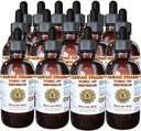 Shiitake, Maitake, Cordiceps, Reishi Liquid Extract, Organic Tørret Shiitake, Maitake, Cordiceps, Reishi Tincture, Herbal Supplement, Hawaii Pharm, Lavet i USA, 15x4 fl.oz