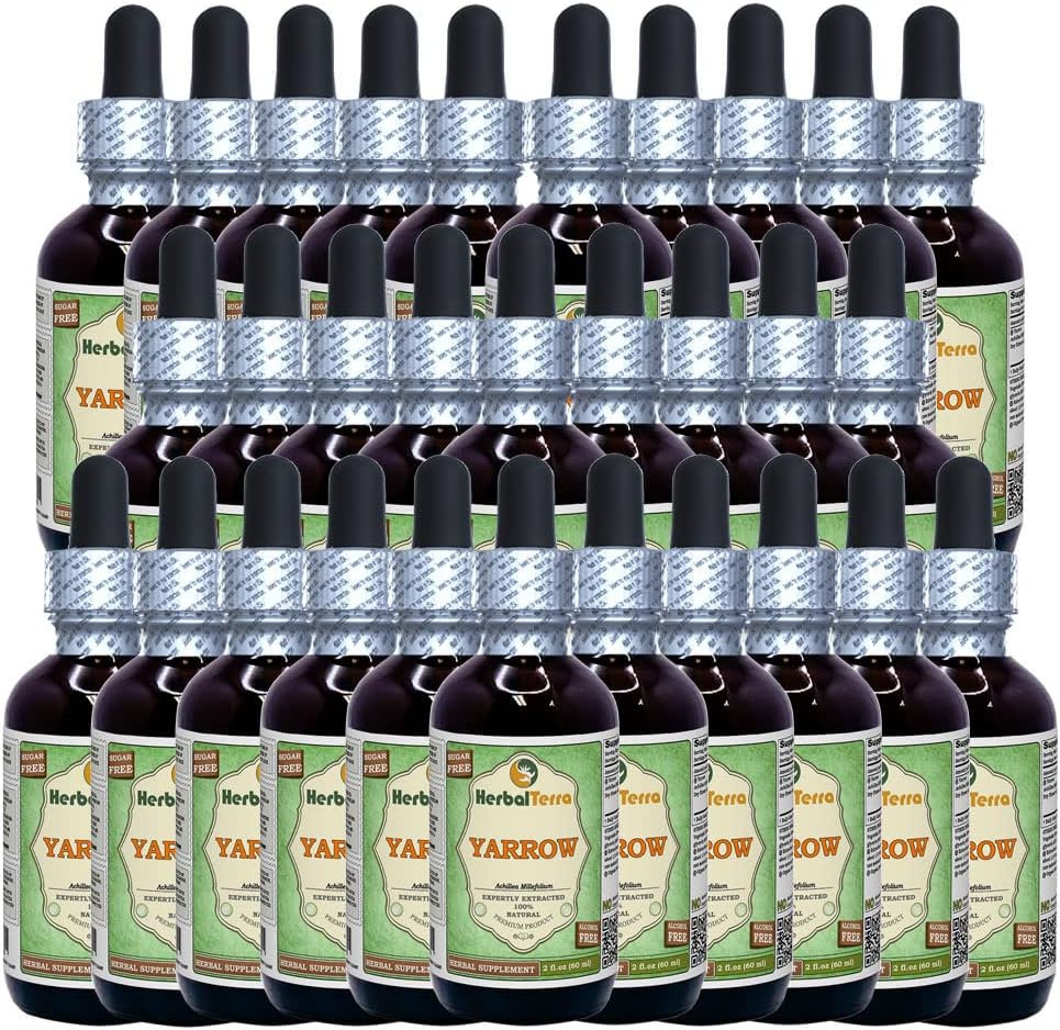 Yarrow (Achillea Millefolium) Glycerit, Økologisk Tørrede blomster Alkohol- Free Liquid Extract (Brand Name: HerbalTerra, Stolt Made in USA) 30x2 fl.oz (30x60 ml)
