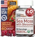 Sea Moss Gummies with Lions Mane Mushroom - Sea Moss Gel Alternativ med Irish Moss, Reishi, Cordyceps, Chaga & Turkey Tail Supplement - Fokus vingummi uden kaffe - 60 ct