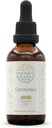 Cordyceps B60 Alcohol-Free Herbal Extract Tincture, Concentrated Liquid Drops Natural Cordyceps Militaris Dried Mushroom (2 fl oz)