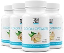 Ja, du kan! Probiotika Colon Optimizer Supplement - Gut Sundhed og Mave supplement til mænd og kvinder, Organic Probiotika med Ingefær og pebermynte til fordøjelsessygdomme, 30 kapsler - 4 pakke