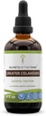 Hemmeligheder for Tribe Greater Celandine Tincture Alkohol Extract, Greater Celandine (Chelidonium majus) 4 OZ