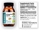DR WAKDE 's Ashwagandha kapsler (Indisk Ginseng, Withania somnifera, 60 Veg Caps, Plant- baseret supplement, Ayurvedic Herb, All Natural, Vegan)