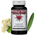Kroeger urter, Olive Leaf Extract Kapsler til immunsystemet, Olive Leaf & Yarrow Supplement, Vegetarisk, Non- GMO, Gluten Free, Ingen Preservatives - 100 Kapsler, Made in USA