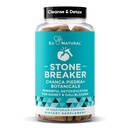 Chanca Piedra Stone Breaker - Den oprindelige Stone Breaking Formel med Selleri Seed & Persley - Understøtter Nyre, Galdeblære & Urinary Tract Cleansing at hjælpe Flush Urenheder - 60 Vegetariske Kapsler