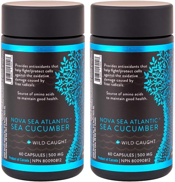 Søagurk supplement, vilde fanget havagurk kapsler med fucosyleret chondroitin vitaminer Mineral - naturlige antioxidant supplement til ældre voksne barn (pakke med 2)