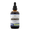 Secrets of the Tribe Muira Puama Tincture Alcohol- Free Liquid Extract, Muira Puama (Ptychopetalum Olacoides) Tørret bark (4 FL OZ)