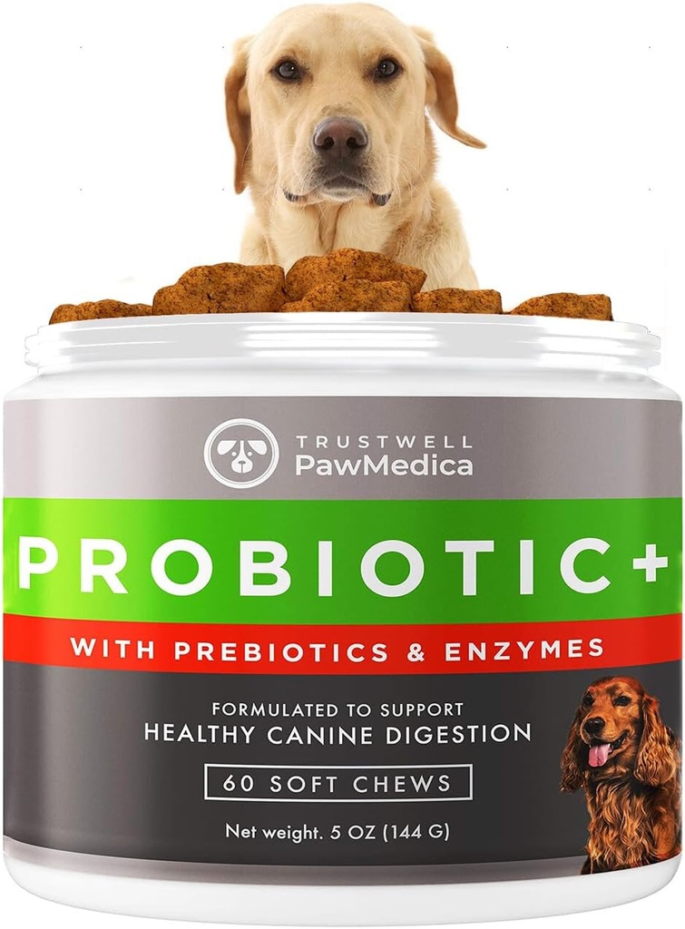 PawMedica hund probiotika og fordøjelsesenzymer, Probiotika til hunde lavet i USA, Pet Probiotic Chews til hunde, Prebiotics & Probiotic hund fordøjelsesstøtte, Probiotiske Treatings - 60 Hunde Probiotiske Chews